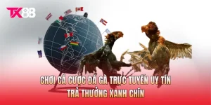 Chơi Cá Cược Đá Gà Trực Tuyến Uy Tín - Trả Thưởng Xanh Chín