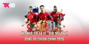 Kèo Nhà Cái Là Gì - Giải Mã Tỷ Lệ Bóng Đá Chuẩn Chỉnh 2026