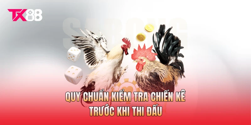 Quy chuẩn kiểm tra chiến kê trước khi thi đấu