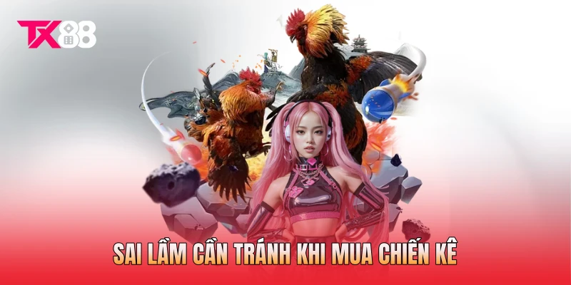 Sai lầm cần tránh khi mua chiến kê