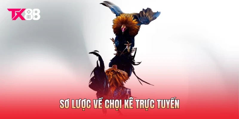 Sơ lược về chọi kê trực tuyến