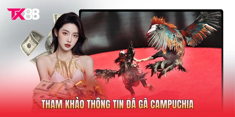 Tham khảo thông tin đá gà Campuchia
