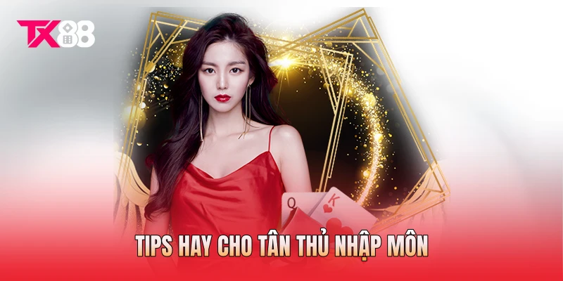 Tips hay cho tân thủ nhập môn