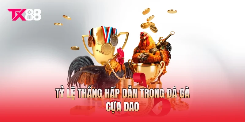 Tỷ lệ thắng hấp dẫn trong đá gà cựa dao